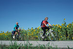 Unvergessliche Ausflüge lassen sich auf den steirischen Radwegen erleben. 