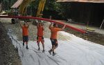 Die STED-Lehrlinge packen in St.Stefan ordentlich an.