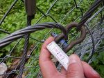 Rund 70 derartige Schäkel wurden aus Schutzverbauten gestohlen. © STED