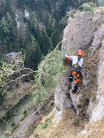 Die Felsfacharbeiter leisten bei den Rodungsarbeiten tolle Arbeit.