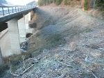 An der Erlengrabenbrücke wird eine Baustellenumfahrungsstraße gebaut.